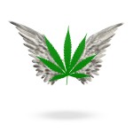 bigstock-Marijuana-Leaf-High-50584181-150x150