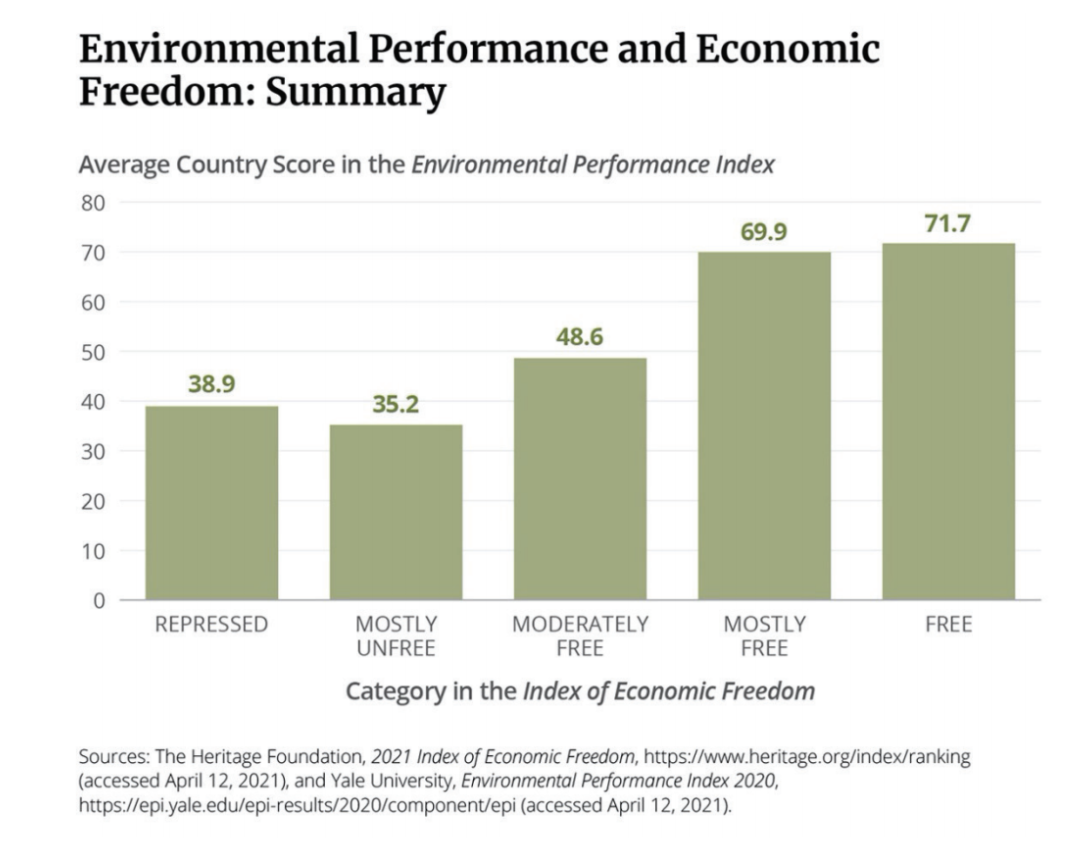 can free market solve environmental problems
